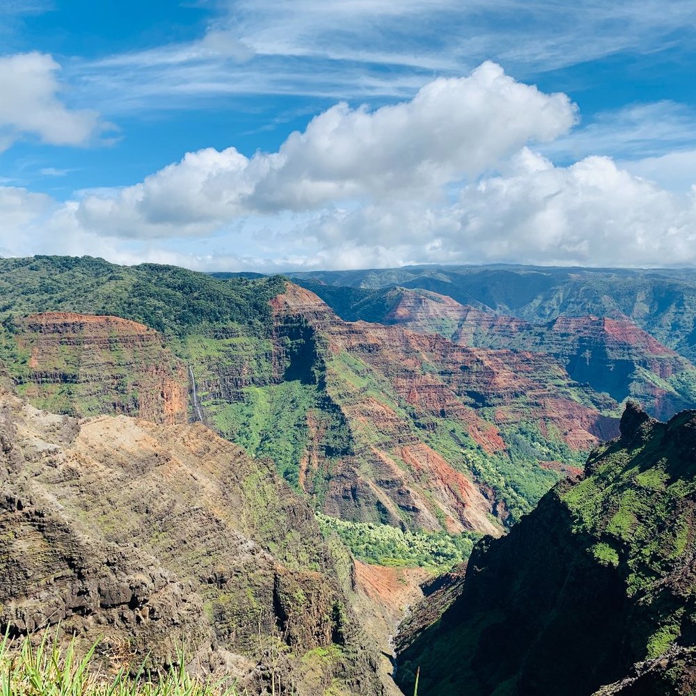 Meet your Posher, Minyoung